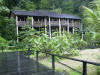 Borneo Bild 06