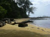 Borneo Bild 27