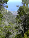 Gomera Bild 10