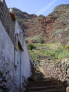 Gomera Bild 08