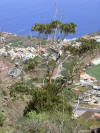 Gomera Bild 12