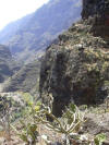 Gomera Bild 23