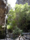 Gomera Bild 11