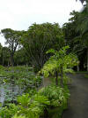 Mauritius Bild 07