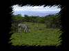 Sdafrika Bild 07